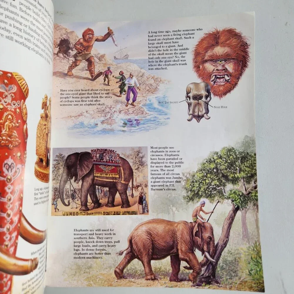 Elephants Zoobooks Kids Magazine Vintage Children's Ranger Rick John Bonnett Wex